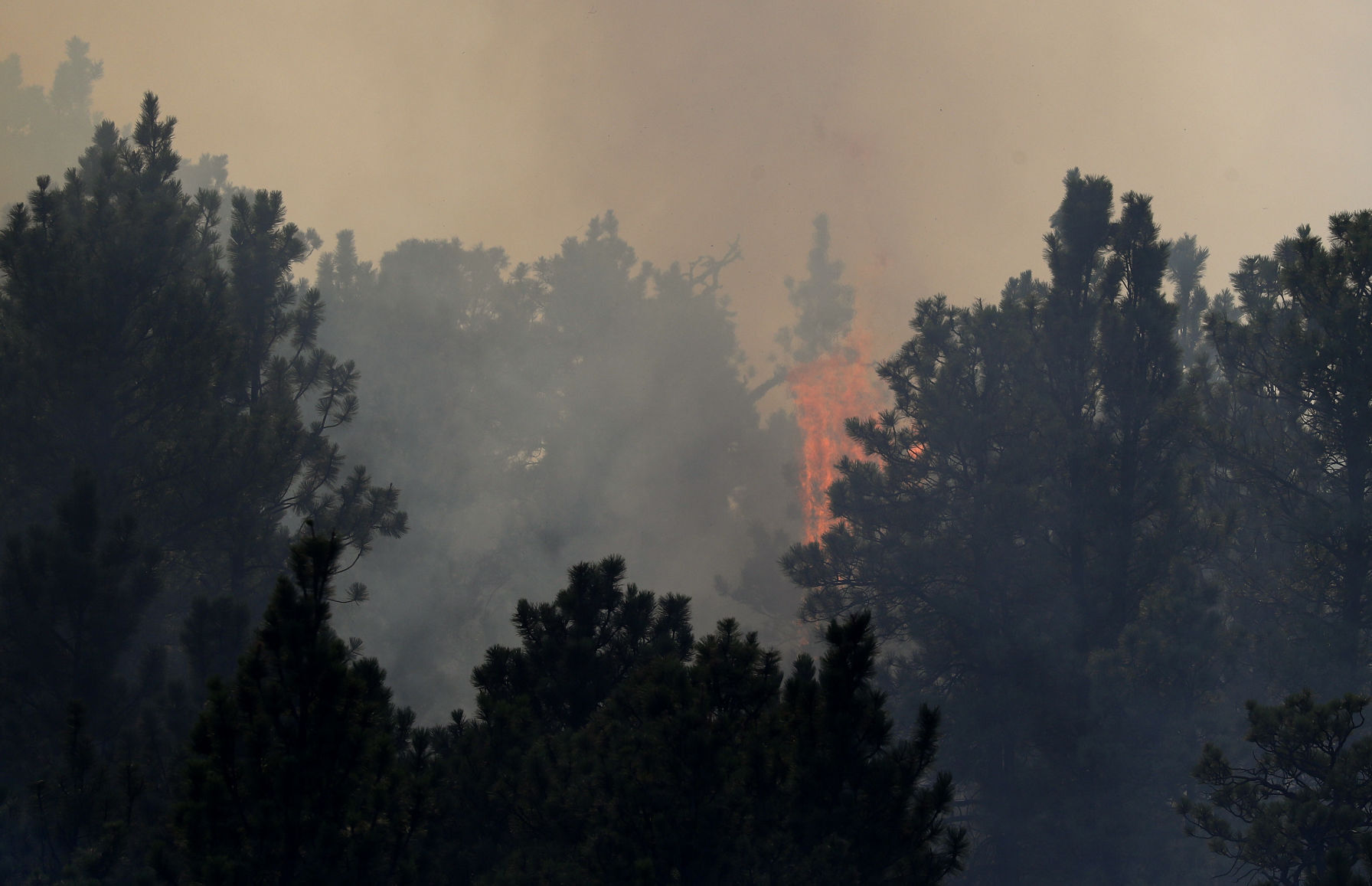 Bobcat fire